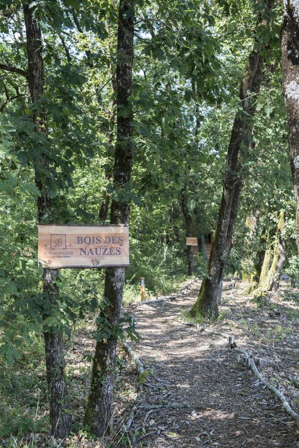 Bois Des Nauzes Villa Seyches Ngoại thất bức ảnh